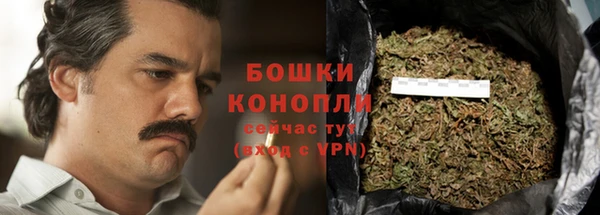 гидра Абаза