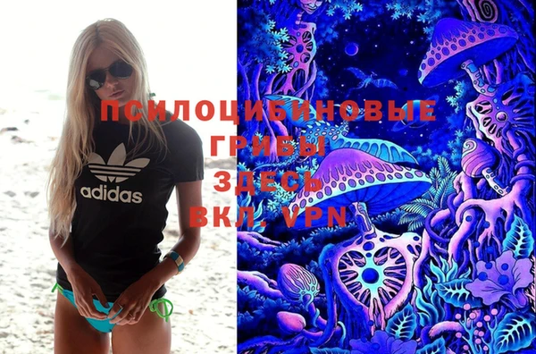 MDMA Алексеевка